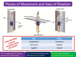 Planes of Movement and Axes of Rotation - AQA GCSE PE (9-1) | Teaching Resources