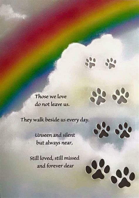 Rainbow Bridge Dog Poem Free | Pets Animals US