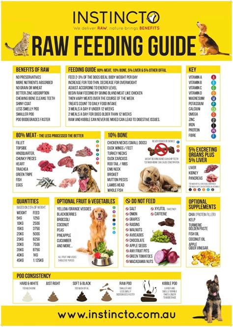 Feeding Chart For Dogs