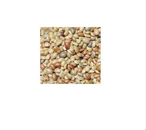 Dolichos Biflorus ( Horse Gram) at best price in Dehradun by Floral Seed Company | ID: 14184149712