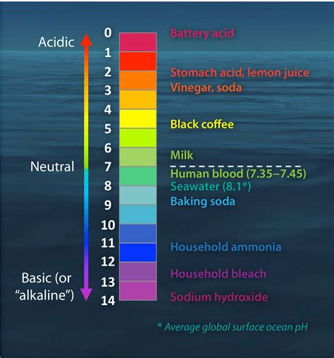 Ph Scale Examples