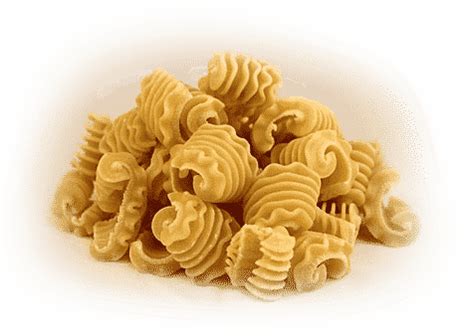 Radiatori – Lilly's Fresh Pasta