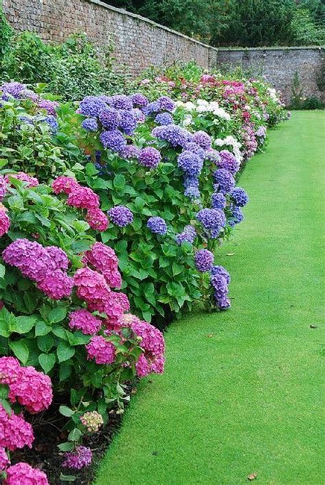 Hydrangeas In Landscaping Hydrangea Landscape Ideas To Create A Dreamy ...