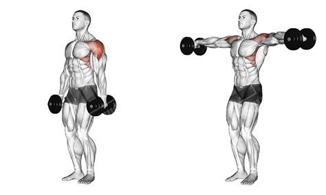 No-Press Shoulder Workout - Meanmuscles