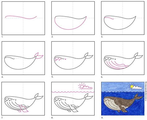 How to Draw a Humpback Whale · Art Projects for Kids | Whale art, Kids art projects, Easy doodle art