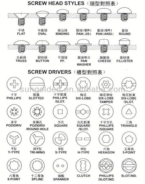 screw head types | Screws and bolts, Carpentry workshop, Antique ...