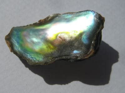 25mm Abalone Pearl