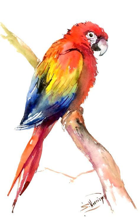 10 Best Parrot Watercolor images in 2017 | Parrots, Birds, Bird art