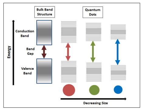 Properties and Applications of Quantum Dots - CD Bioparticles