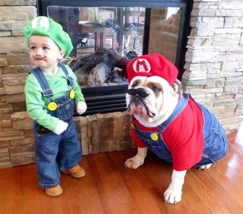 Cute pet costumes for Halloween