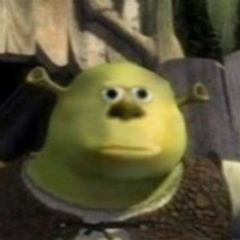 Mike Shrek | Mike Wazowski-Sulley Face Swap | Know Your Meme