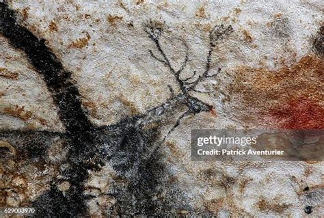 International Center Of Parietal Art Opens At The Foot Of The Hill Of Lascaux Photos and Premium ...