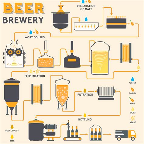 Brewing process essentials: what you need to start making beer