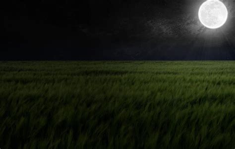 3840x2160px | free download | HD wallpaper: green grass field, Earth, Moon, Night, full moon ...