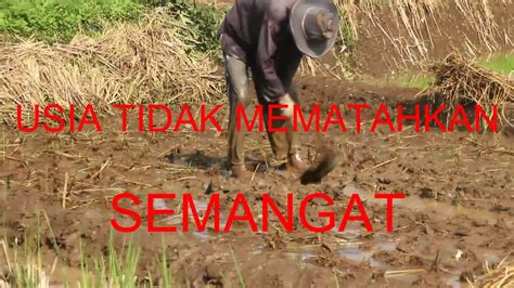 Suasana kampung - YouTube