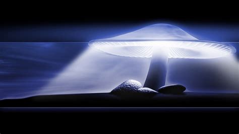 Neon Mushroom Wallpaper - WallpaperSafari