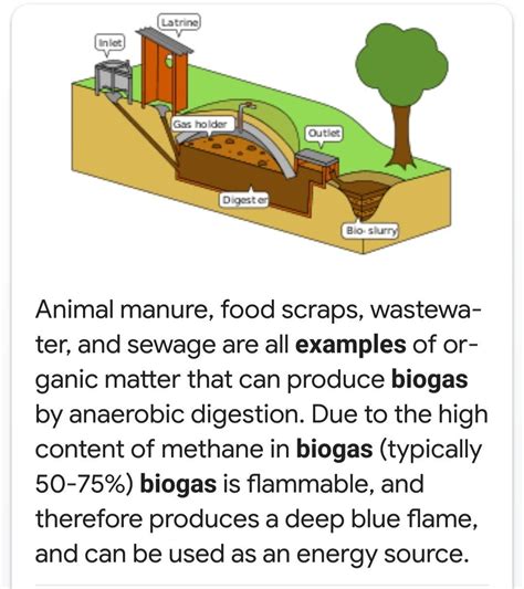 Biogas Examples Of Adjectives In Sentences Examples - IMAGESEE