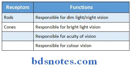 Special Senses Question And Answers - BDS Notes