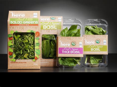 5 Environment-Friendly Packaging Ideas | JohnsByrne