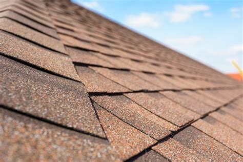 Why Asphalt Roof Shingles? (Types, Benefits, and More!)