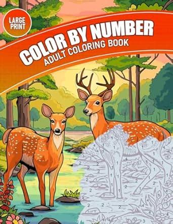 Amazon.com: Large Print Adult Color by Number Coloring Book: Amazing ...