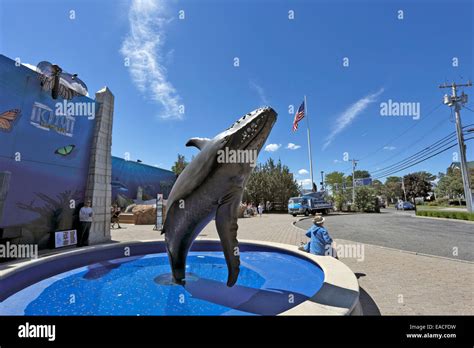 Atlantis Marine World Aquarium Riverhead Long Island New York Stock Photo - Alamy