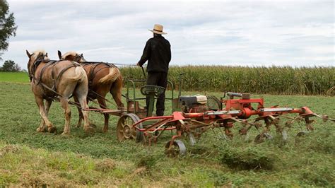 OHIO AMISH COUNTRY Tour - Sunshine Tours