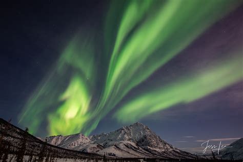 Aurora Photography Workshop - Arctic Circle Alaska. | Photos by Jess Lee