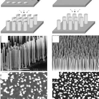 (PDF) ZnO Nanorods: Synthesis, Characterization and Applications