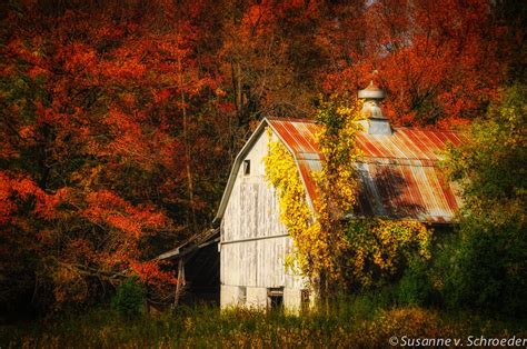 Nature Photography, Old Barn, Fall Colors, Autumn Decor, Fine Art Print, Rustic, Orange Red ...