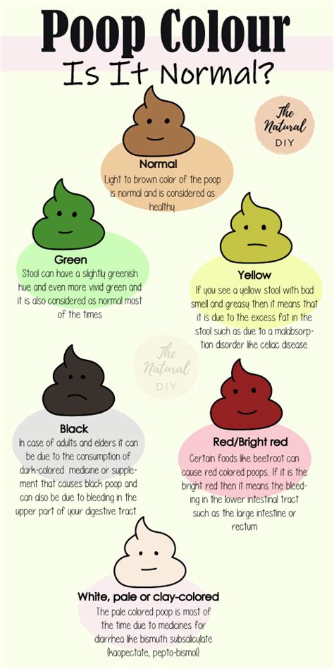 POOP COLOR - WHAT THEY MEAN? - The Natural DIY