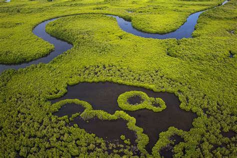 Livelihoods’ mangrove project wins the Ramsar Wetland Conservation Award 2015 for Innovation ...