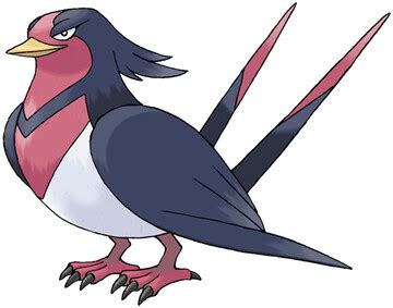 Swellow Pokédex: stats, moves, evolution & locations | Pokémon Database