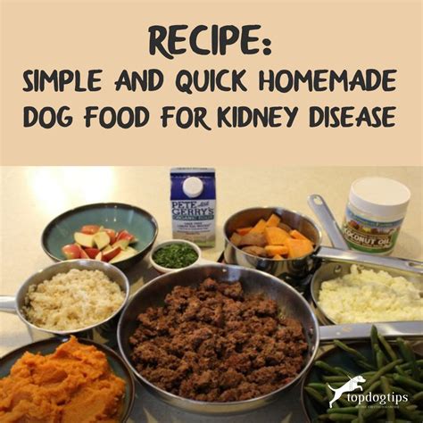 Homemade Dog Food for Kidney Disease Recipe Video (Quick, Simple)