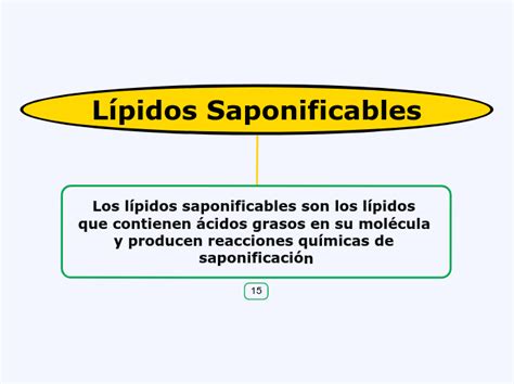 Lípidos Saponificables - Mind Map