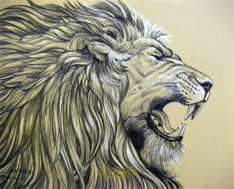 Lion Roaring Side View Drawing