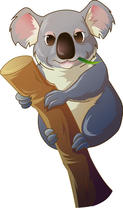 Koala clipart koala bear, Koala koala bear Transparent FREE for download on WebStockReview 2023