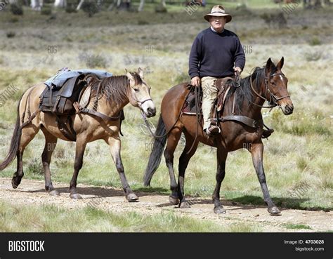 Rider Horse Image & Photo (Free Trial) | Bigstock