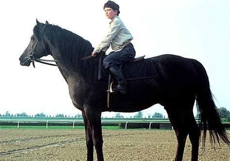 The Black Stallion (1979) Still - Horses Photo (39897573) - Fanpop