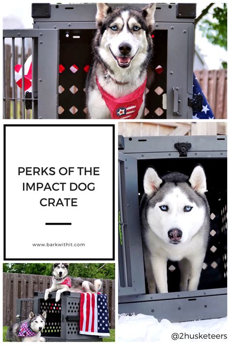 Impact Crates – The Perfect Crate for your Dog - Bark With It