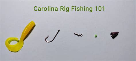 The Ultimate Guide to Carolina Rig Fishing: Everything You Need to Know ...