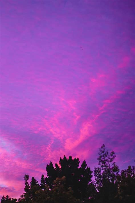 HD wallpaper: sky, pink sky, purple sky, clouds, pink clouds, afternoon ...