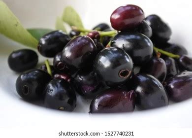 136 Jamblang Fruit Images, Stock Photos & Vectors | Shutterstock