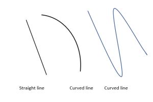 WHAT IS A CURVED LINE?- MINDSPARK - mydomain