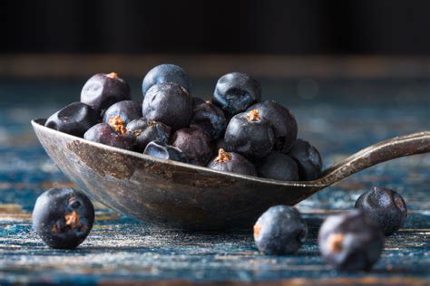 Surprising Health Benefits of Juniper Berries - Facty Health