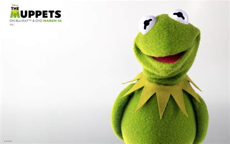 Kermit The Frog Wallpapers - Wallpaper Cave