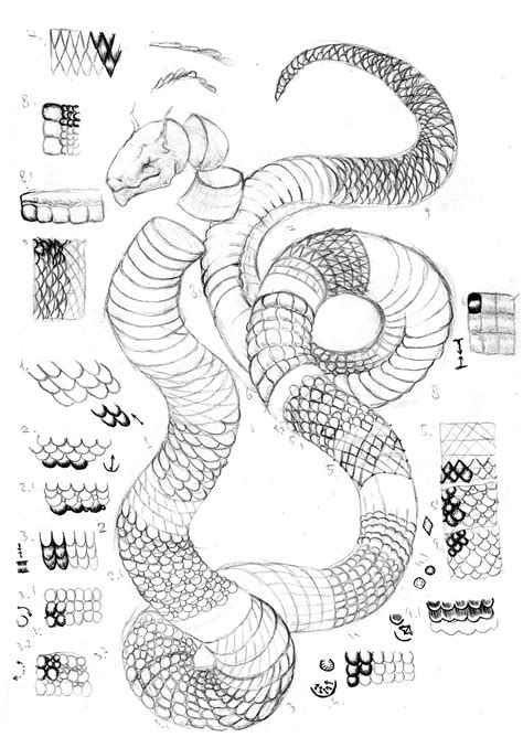 How To Draw Snake Scales at How To Draw