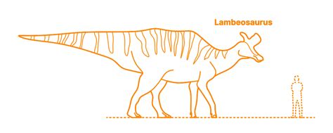 Lambeosaurus (Lambeosaurus lambei) Dimensions & Drawings | Dimensions.com