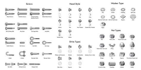 Types of Screws: Different Types and How to Use Them