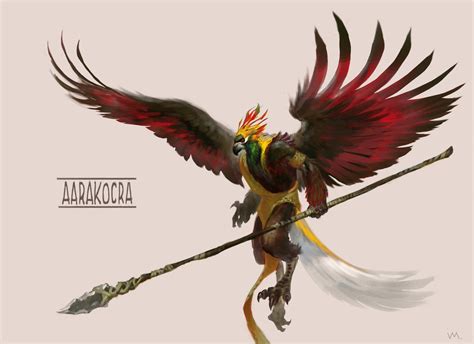 dnd 5e - Can an Aarakocra look like any bird? - Role-playing Games ...